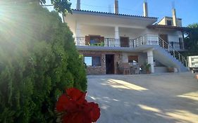 Vila Pasha